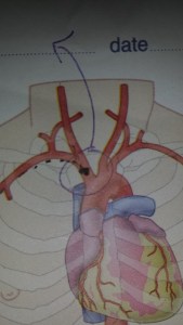 2016-06-29 12.29.30(1)