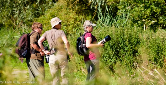 oostvaardersveld-7622-2