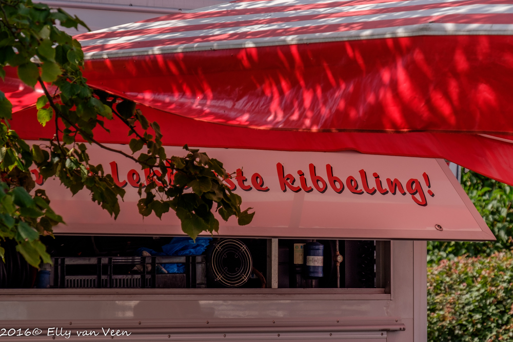 waterweek_Broekerhaven-8166