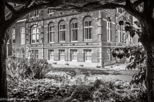 snouckvanloosen-7053