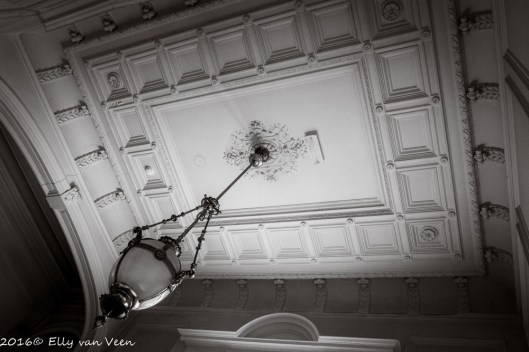 snouckvanloosen-7059