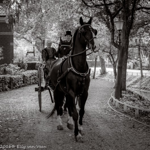 harddraverij_2016-8992