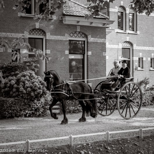 harddraverij_2016-9025