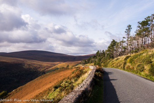 wicklow-0030