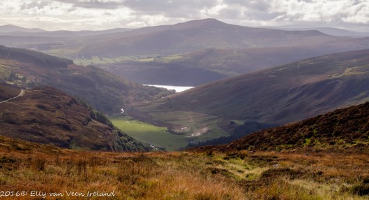 wicklow-0034