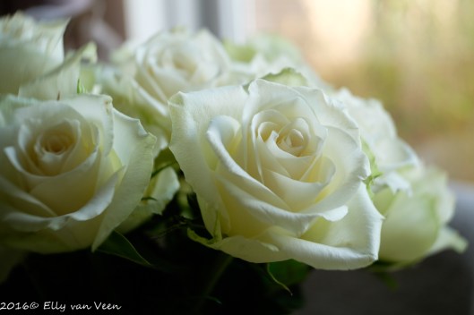 lensbabytrio-28-1-1272