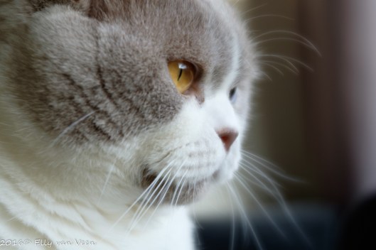 lensbabytrio-28-2-1277