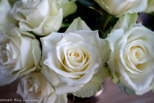 lensbabytrio-28-3-1282