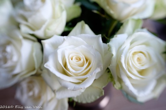 lensbabytrio-28-3-1283