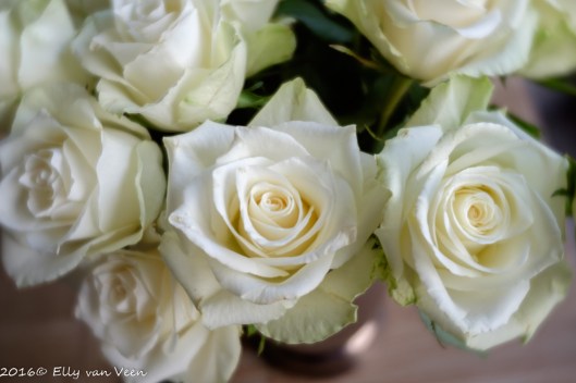 lensbabytrio-28-3-1284