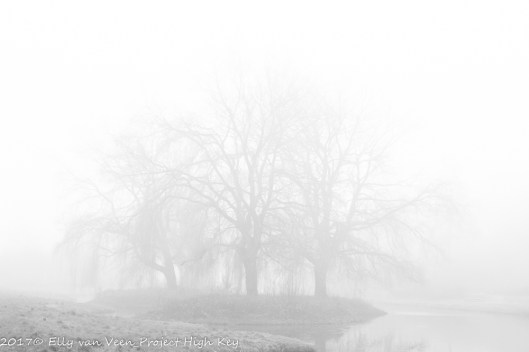 elly-002-high-key-1297