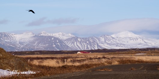 Snæfellsnes-2618